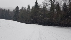 2021-01 BassecourtLaChaux