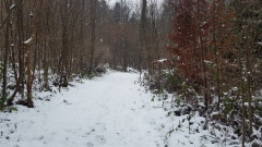 2021-01 BassecourtLaChaux