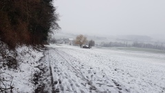 2021-01 BassecourtLaChaux