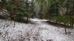 2021-01 BassecourtLaChaux