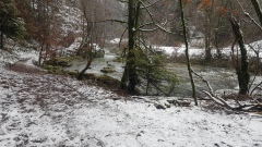 2021-01 BassecourtLaChaux
