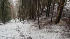 2021-01 BassecourtLaChaux