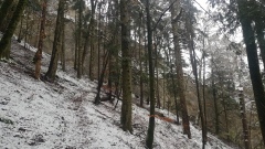 2021-01 BassecourtLaChaux