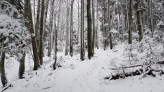 2021-01 BassecourtLaChaux