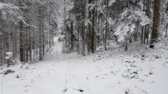 2021-01 BassecourtLaChaux