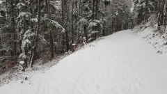 2021-01 BassecourtLaChaux