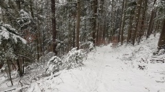 2021-01 BassecourtLaChaux