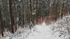 2021-01 BassecourtLaChaux