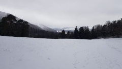 2021-01 BassecourtLaChaux