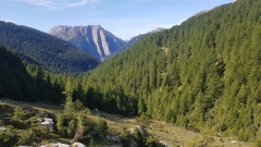 2019-Binntal