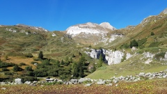 2019-Binntal