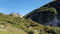 2019-Binntal