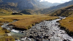 2019-Binntal