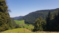 2019-Champsloiseau