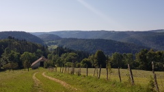 2019-Champsloiseau