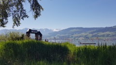 2020-Ironman 70.3