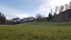 2019-NoirmontTheussGoule