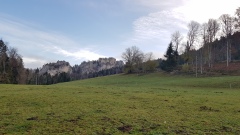 2019-NoirmontTheussGoule