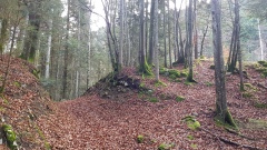 2019-NoirmontTheussGoule