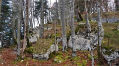 2019-NoirmontTheussGoule