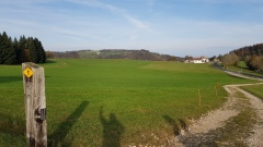 2020-01 StUrsanneGlove