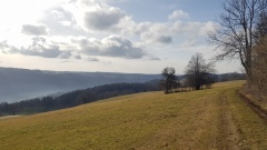 2020-01 StUrsanneGlove