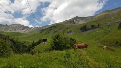 2020-06 Kandersteg