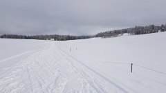 2020-11 CernilGenevez