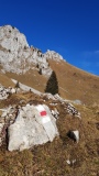 2020-11 Stockhorn