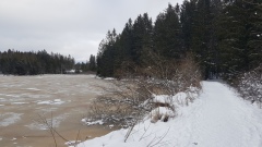 2020-12 Gruere