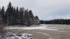 2020-12 Gruere