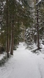 2020-12 Gruere