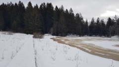 2020-12 Gruere