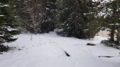 2020-12 Gruere