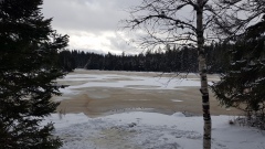 2020-12 Gruere