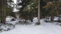 2020-12 Gruere