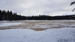 2020-12 Gruere