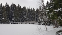 2020-12 Gruere
