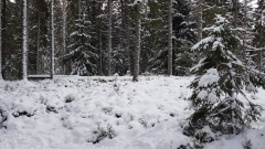 2020-12 Gruere