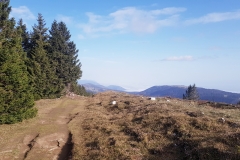 2020-Chasseral