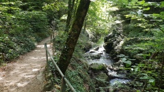 2020-Taubenloch