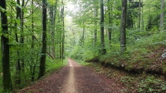 2020-Valdoreenord