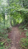 2020-Valdoreenord