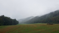 2020-Valdoreenord