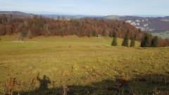 2020-Weissrotibalmberg