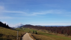 2020-Weissrotibalmberg