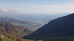 2020-Weissrotibalmberg