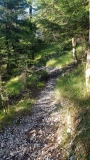 2020-YorBoldairTrail