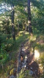 2020-YorBoldairTrail