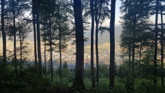 2020-YorBoldairTrail